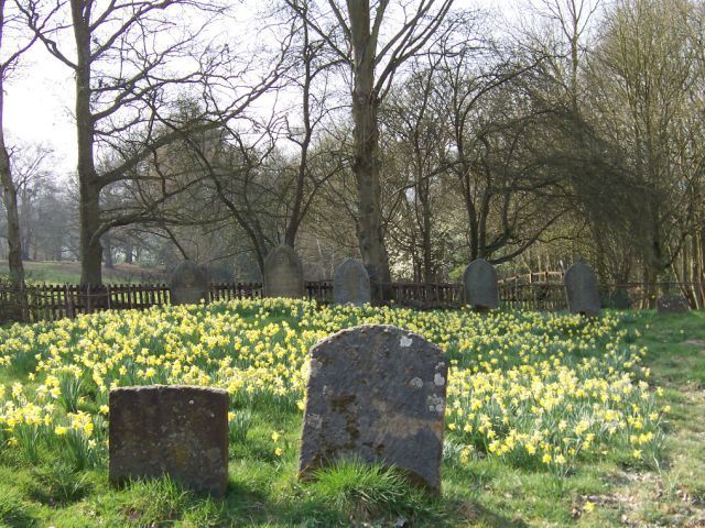 B0w Brickhill in the Spring